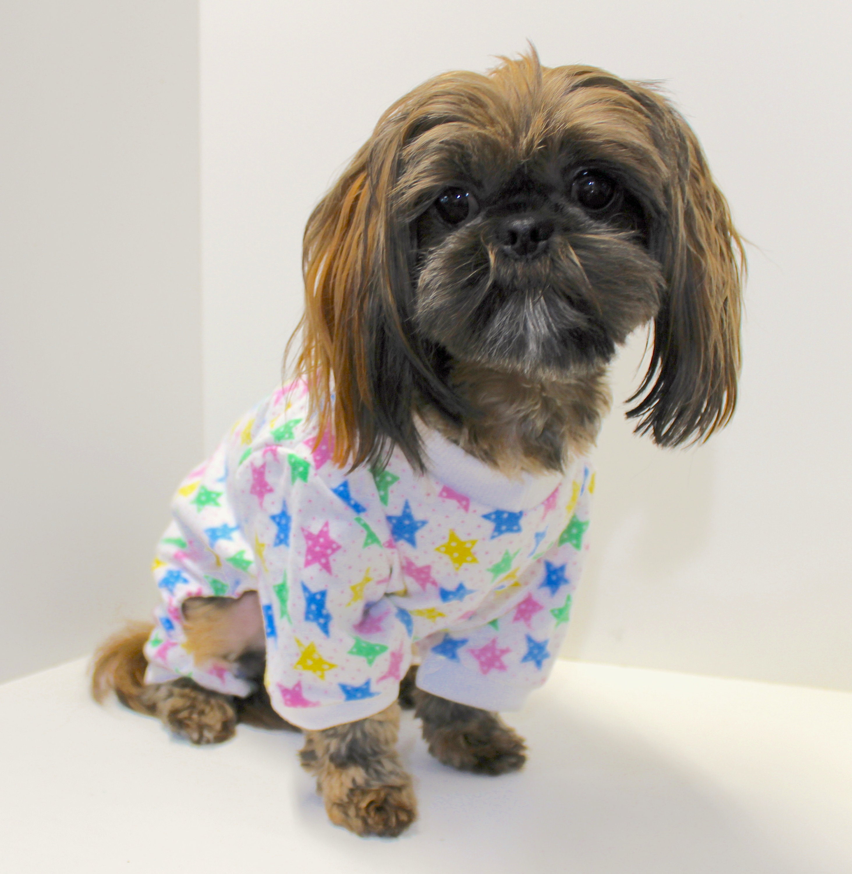 puppy footie pajamas