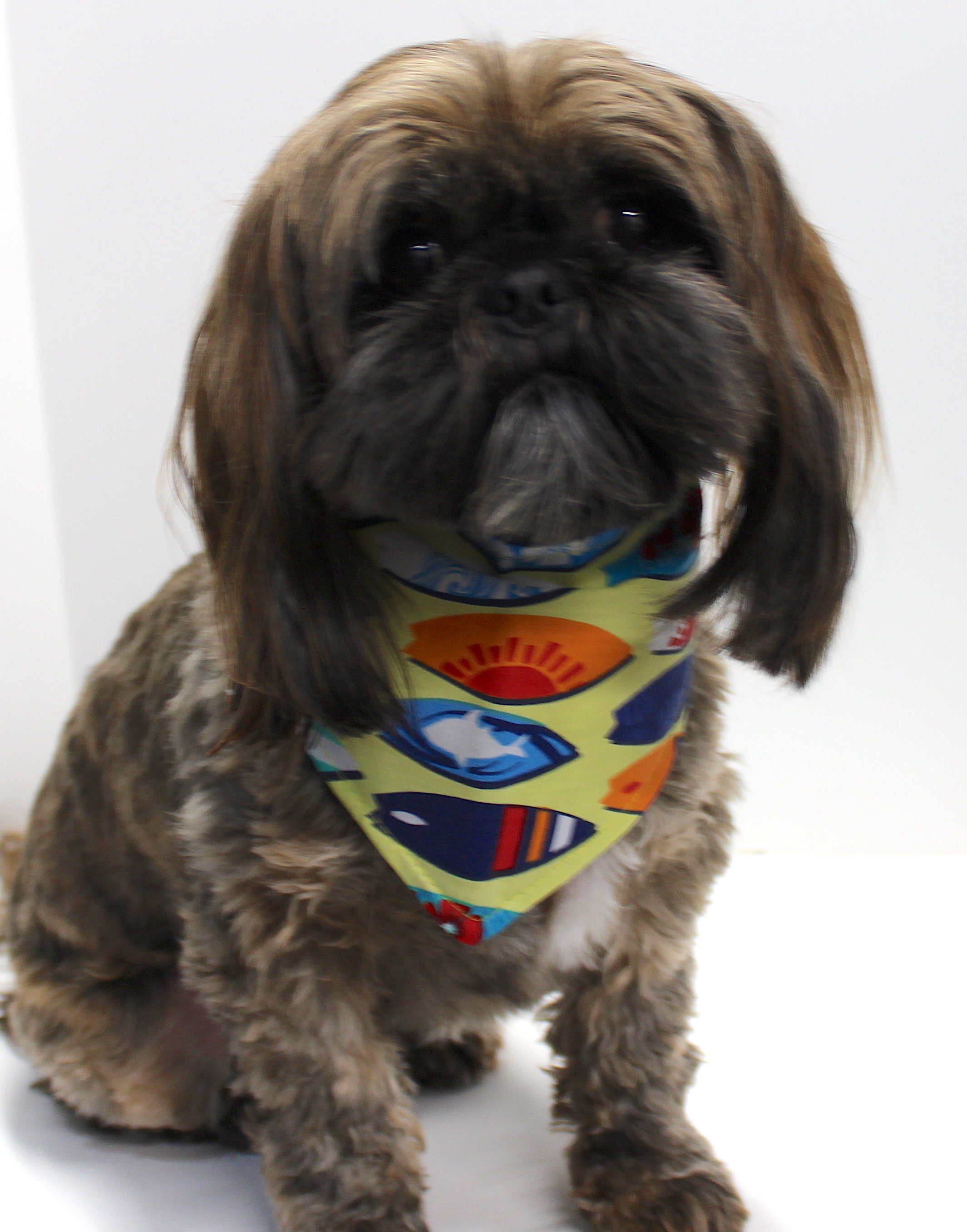 Dog Bandana, Reversible Surf Board, Plant Print, Tie On Dogs Bandanas
