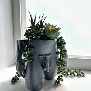 May include: A matte grey, torso-shaped planter featuring a sculpted human form. The container holds a variety of green succulents, including a trailing string of pearls plant and a rosette-shaped succulent, which spill over the sides of the vessel.