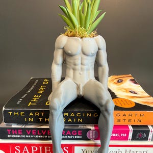 May include: A gray, 3D-printed planter shaped like a muscular human torso with legs, containing a green succulent plant. The planter sits atop a stack of three books titled The Art of Racing in the Rain, The Velvet Rage, and Sapiens.
