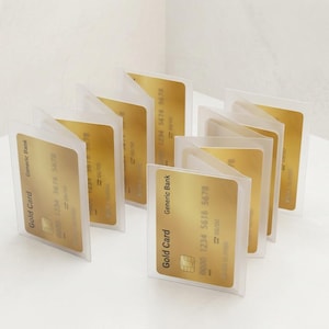Clear Accordion Wallet Inserts Set of 2 | Vinyl Credit Card Holders | Unisex Wallet Accessories