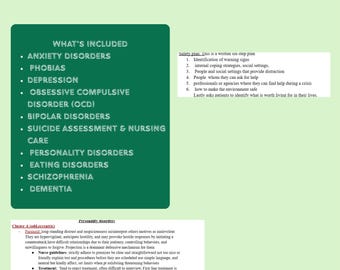 RN Psychiatrische Pflege Studienführer | Psychische Störungen Bündel (27 Seiten)