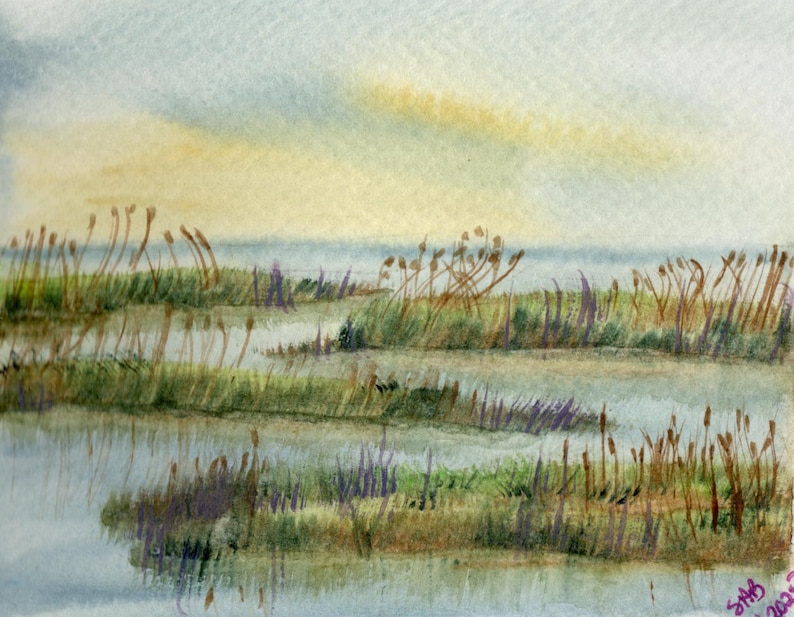 K&ouml;nnte beinhalten: Ein Aquarellgem&auml;lde, das eine Sumpflandschaft mit gr&uuml;nen Grasfl&auml;chen und hohen braunen Schilfrohren zeigt, die aus flachem Wasser ragen. Der Horizont zeigt einen weichen, dunstigen Himmel in blassgelben und blauen T&ouml;nen, signiert mit SAB 2023.