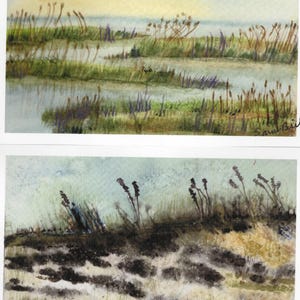 Sommerliches Sumpf-Aquarellgemälde: Abendlandschaft Bild 5