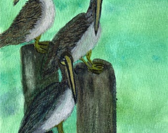 Three Pelicans Watercolor Painting: Sibling Support Art  - "3 Sibs"