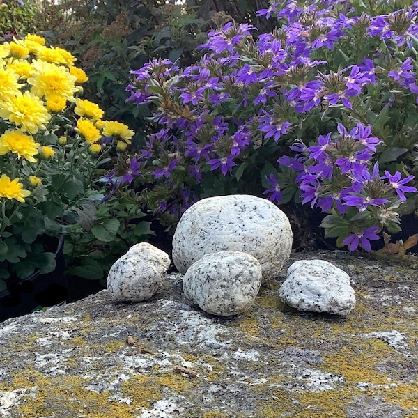 Lot of 4 Weathered Rocks, Maine Speckled White Granite River Stones