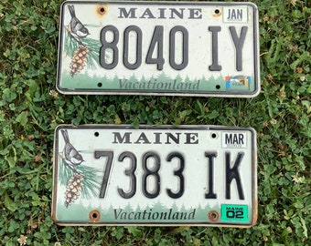 Maine Coon Cat License Plate Front License Sign Car Tag Decorative Metal Plate