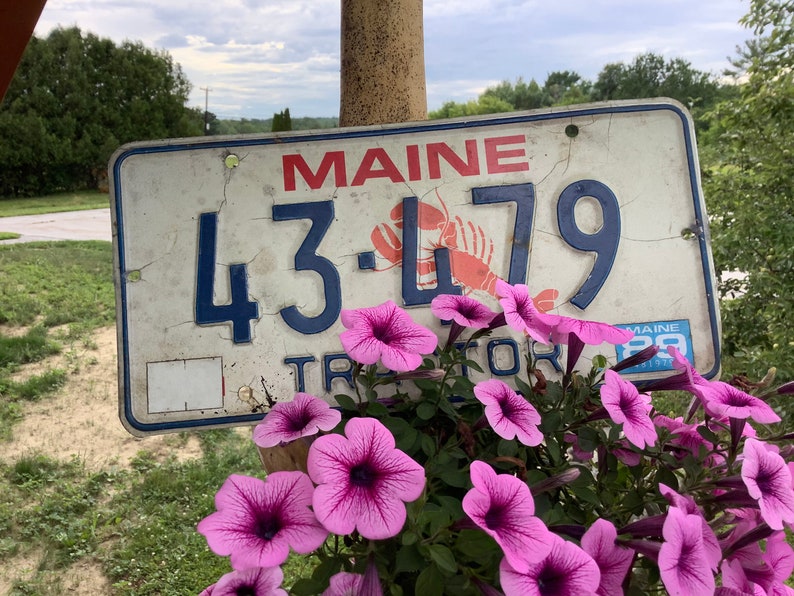 Maine Tractor License Plate 43479 1988 Vintage ME Lobster Etsy