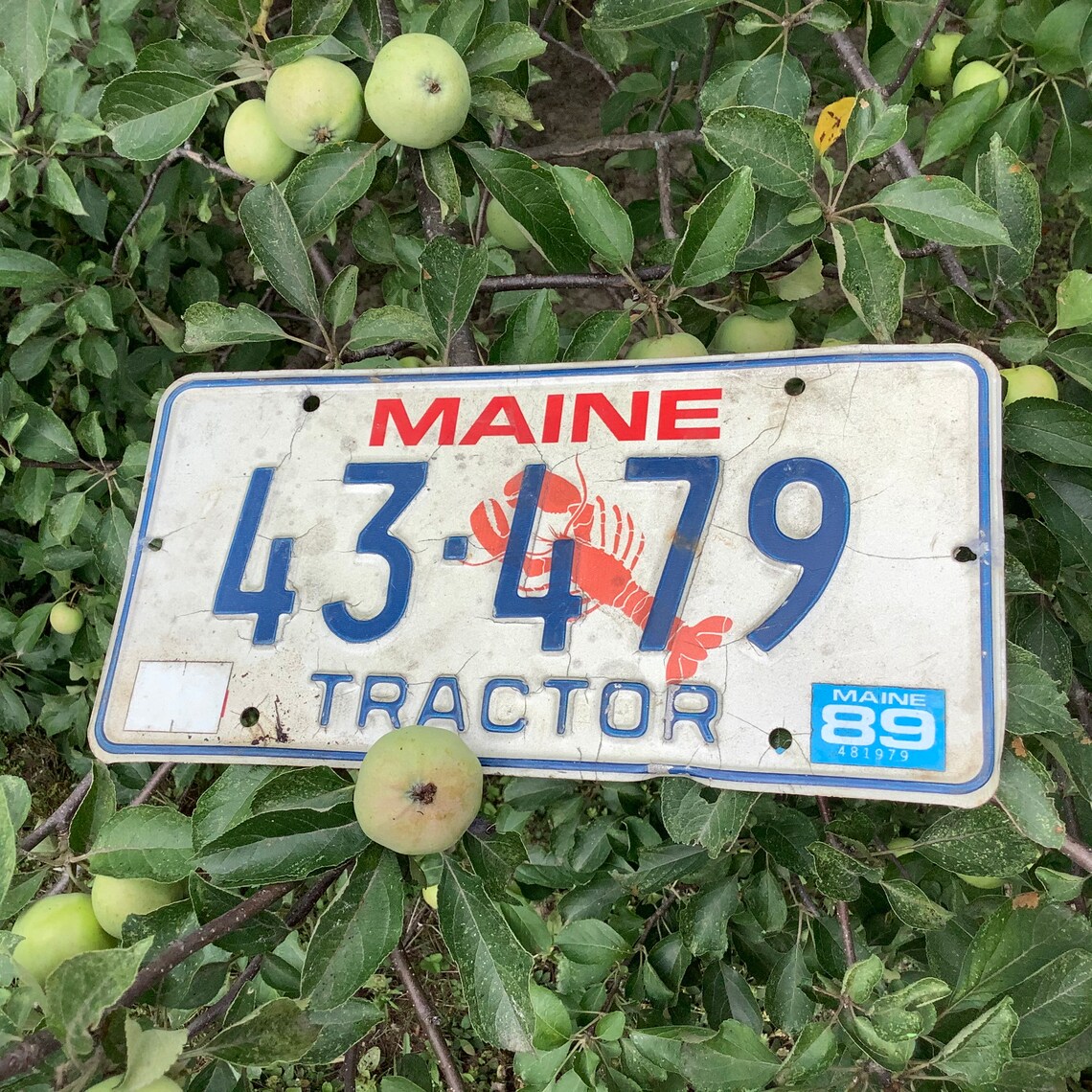 Maine Tractor License Plate 43479 1988 Vintage ME Lobster Etsy