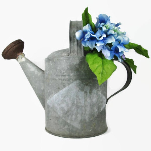 Galvanized Watering Can • Rustic Farmhouse • English Garden • #6 Nesco