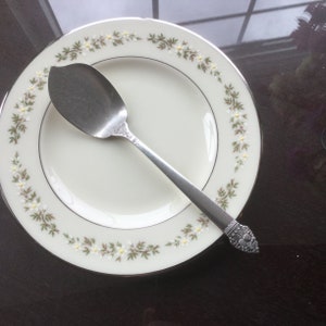 May include: A silver serving spoon rests on a white plate with a floral border. The plate has a delicate pattern of small white flowers and green leaves. The spoon has a decorative handle.