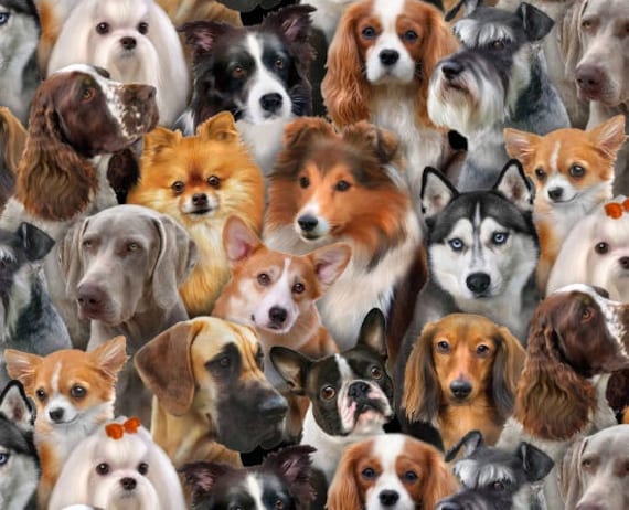 Fat Quarter Dog Breeds Dogs Cotton Quilting Fabric Elizabeth/'s Studio 1312 Black