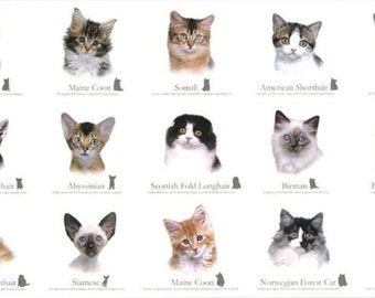 Tissu pour courtepointe en coton Cat Breeds Feline, 60 x 110 cm Elizabeth's Studio