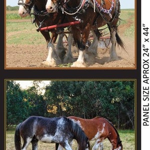 May include: Two brown horses pulling a plough in a field. The horses are wearing harnesses and have white markings on their legs. The field is brown and there are green plants in the background. Below, two brown and white horses graze in a field with green grass and trees in the background. PANEL SIZE APPROX 24" x 44"