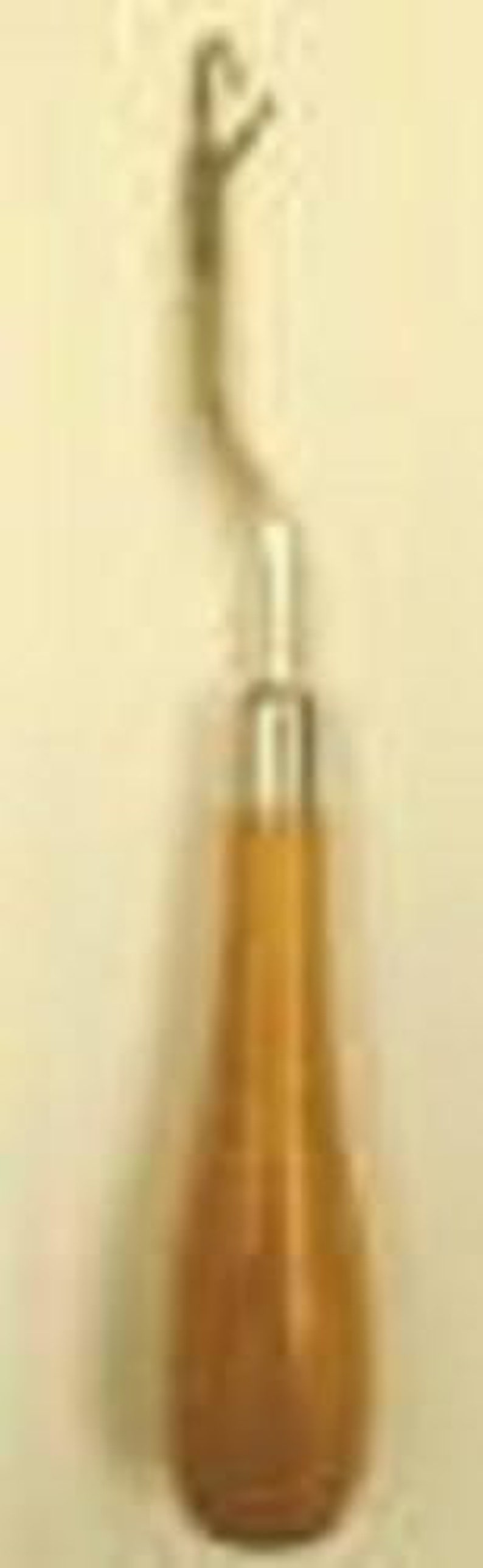 May include: A wooden handled crochet hook with a metal hook.
