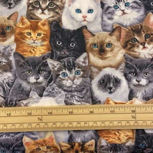 Fat Quarter Stacked Cats And Kittens Cute Eyes 100% Cotton Quilting Fabric
