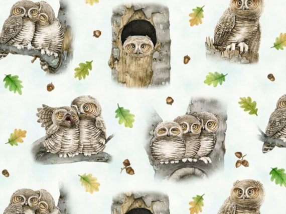 Fat Quarter Hoo/'s Tree Owl Light Blue Cotton Quilting Sewing Fabric