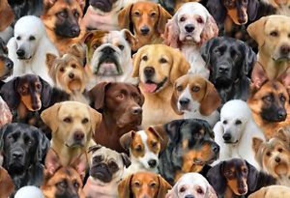 Fat Quarter Dog Breeds Dogs Cotton Quilting Fabric Elizabeth's Studio 1312 Black