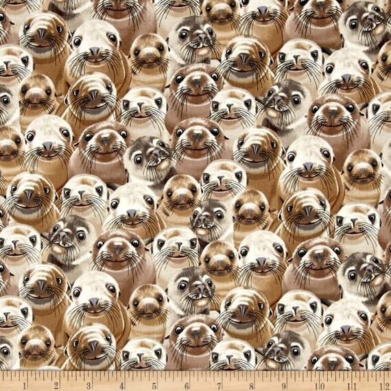 Fat Quarter Zebra Living Wonders Cotton Quilting Fabric 50cm x 55cm