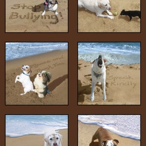 May include: A collage of six images featuring dogs on a beach with messages written in the sand. The messages include "Stop Bullying", "Share", "Please and Thank You", "Speak Kindly", "Wash Up", and "Brush & Floss".