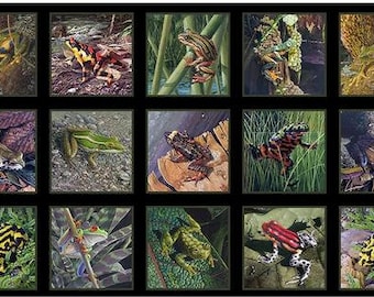 Frog Panel Fabric: 100% Cotton Print, Colorful Amphibians