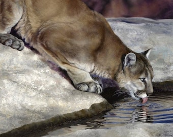 Mountain Lion Cougar Drinking Digital Cotton Quilting Panel Wild & Playful