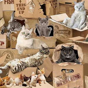 Fat Quarter Realistic Cats & Kitten In Boxes Allover 100% Cotton Quilting Fabric