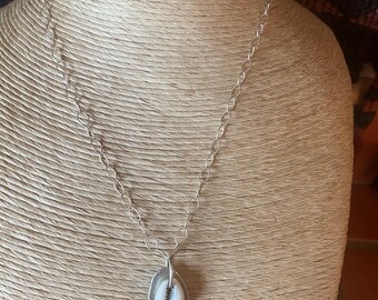 cowrie shell on sterling silver background pendant