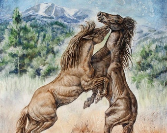 Horse art, Unbranded Outlaws,  two stallions fighting in front of Sierra Blanca Mountain range in Ruidoso New Mexico, wild horses