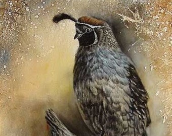 Gamble’s Quail, Legal Resident, estampe de ma peinture à l’huile originale d’une caille Gambles, originaire de AZ, art de la caille, art des oiseaux de la faune