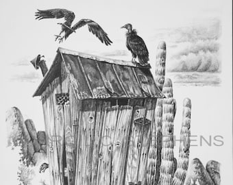 Outhouse art, Buzzards Roost, outhouse drawing of a bunch of buzzards stalking the old outhouse on the ranch