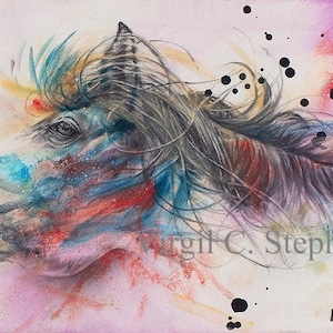 Horse Art, entitled Breathe, of a horse breathing the air, wild horse, colorful horse, stallion print by Virgil C. Stephens western art