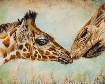 Mother and Baby Giraffe Art Print – African Wildlife Wall Decor – Gentle Safari Animal Painting – Emotional Nature Artwork – 12x12, 16x16