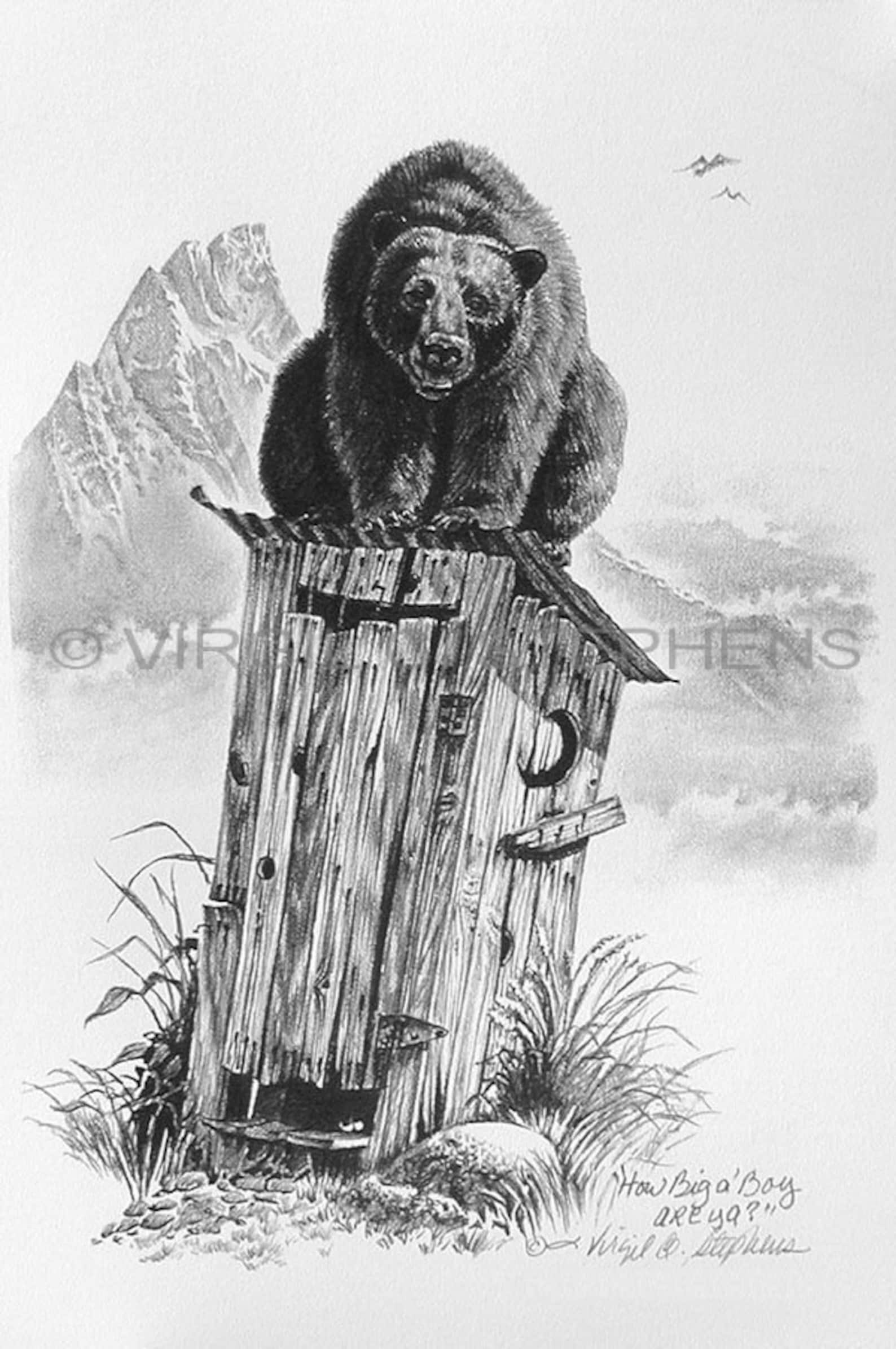 эскиз медведя для резьбы по дереву. пирография медведь. медведь рисунок. выжигание по дереву медведь. нарды выжигание по дереву.