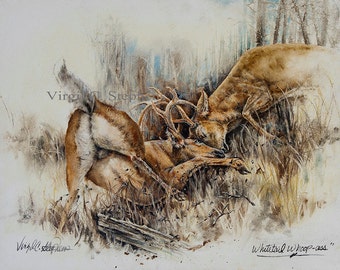 Deer Art, Whitetail Whoop-Ass,  a pair of fighting whitetail deer during rut, wildlife artwork of deer