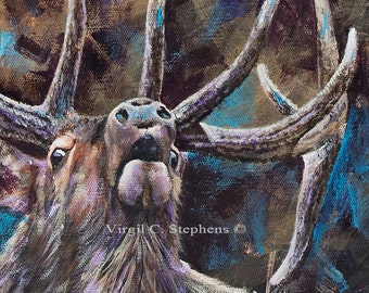 14x14 Elk Fine Art Print, "Herd Bull." ORIGINAL ARTIST -High Quality- Printed on Heavy Archival Paper, Unframed