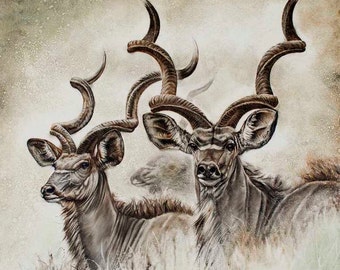 Kudu Antelope Art Print – African Wildlife Wall Decor – Spiral Horn Safari Animal Painting – The Ghosts of Africa – 16x16, 23x23