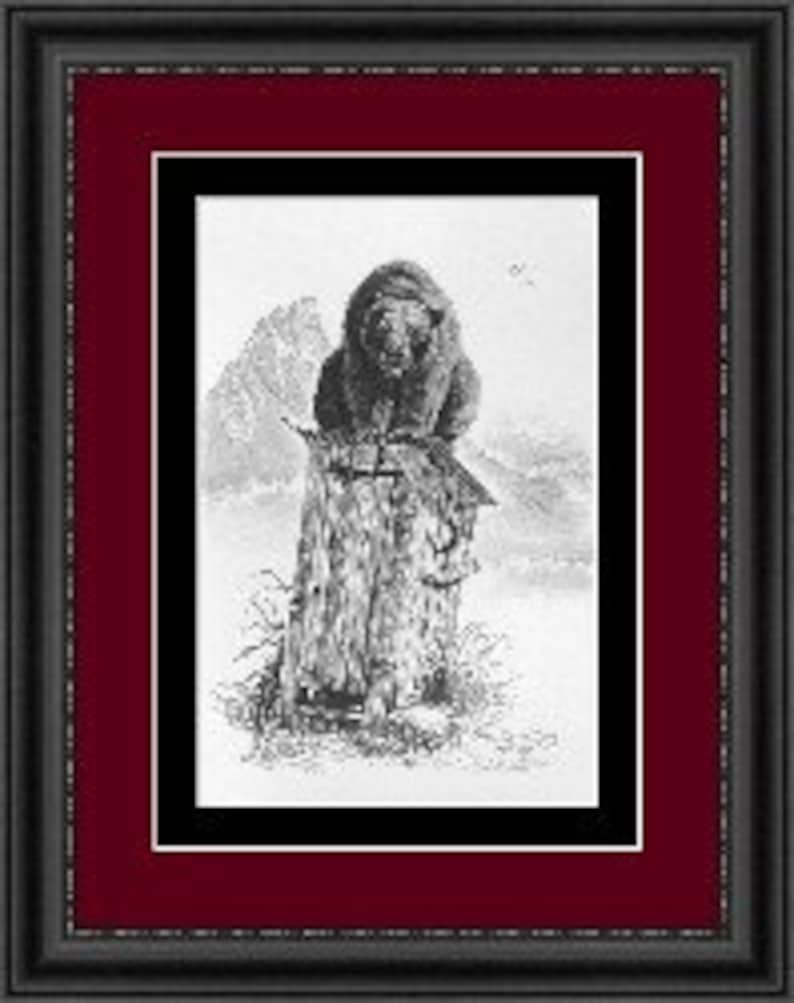 outhouse-art-how-big-a-boy-are-ya-outhouse-drawing-of-a-bear-on-an