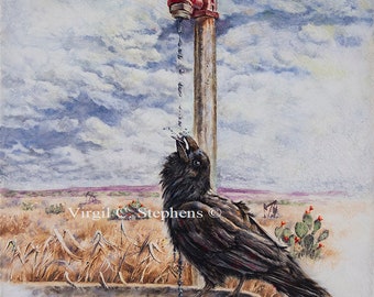 Raven art, Pasture Perrier, print of a Pine Raven sitting on a stock tank, black bird, crows, birds, North Amer. Wildlife, Pine Raven art
