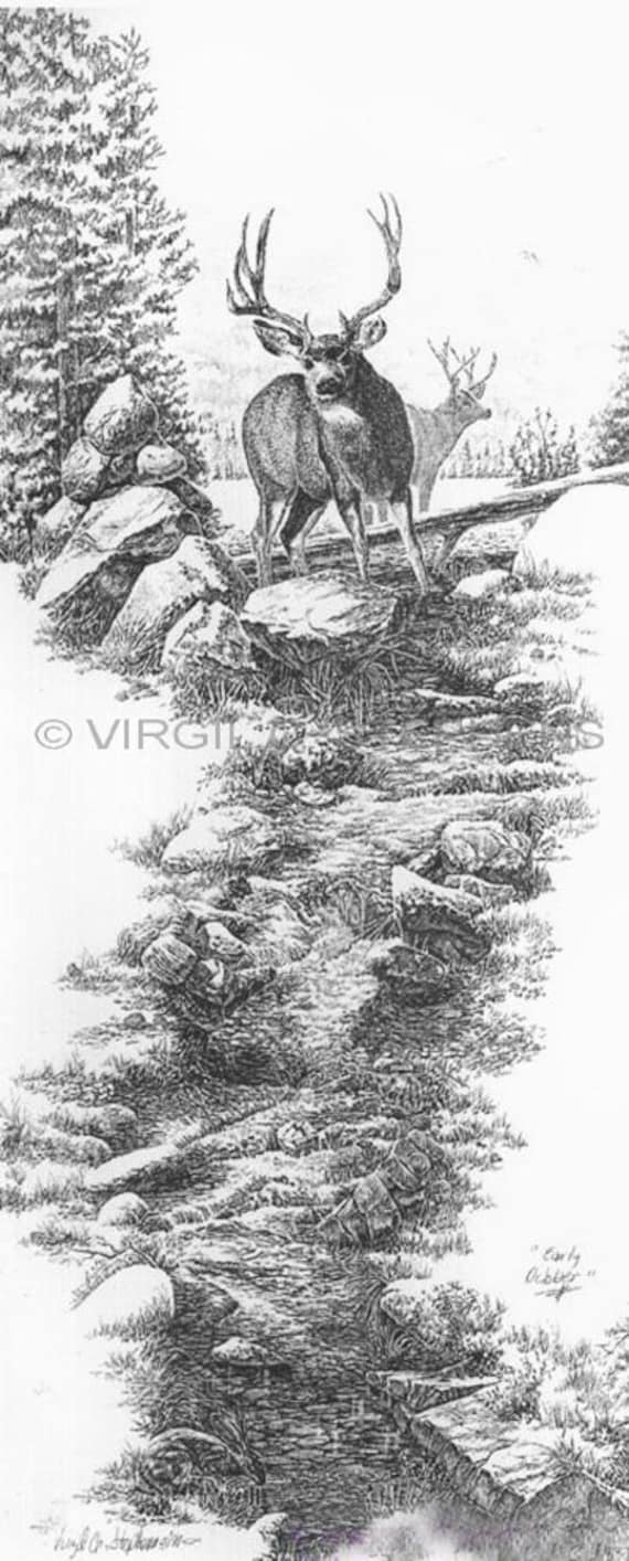 Deer Art, Early October, Pencil Drawing Print of a Mule Deer, Western,  Wildlife Drawing Deer in the Stream, Big Buck, - Etsy Ireland