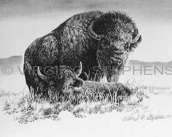 Buffalo art, Buffalo, wildlife drawing, pencil print of the buffalo, bison artwork