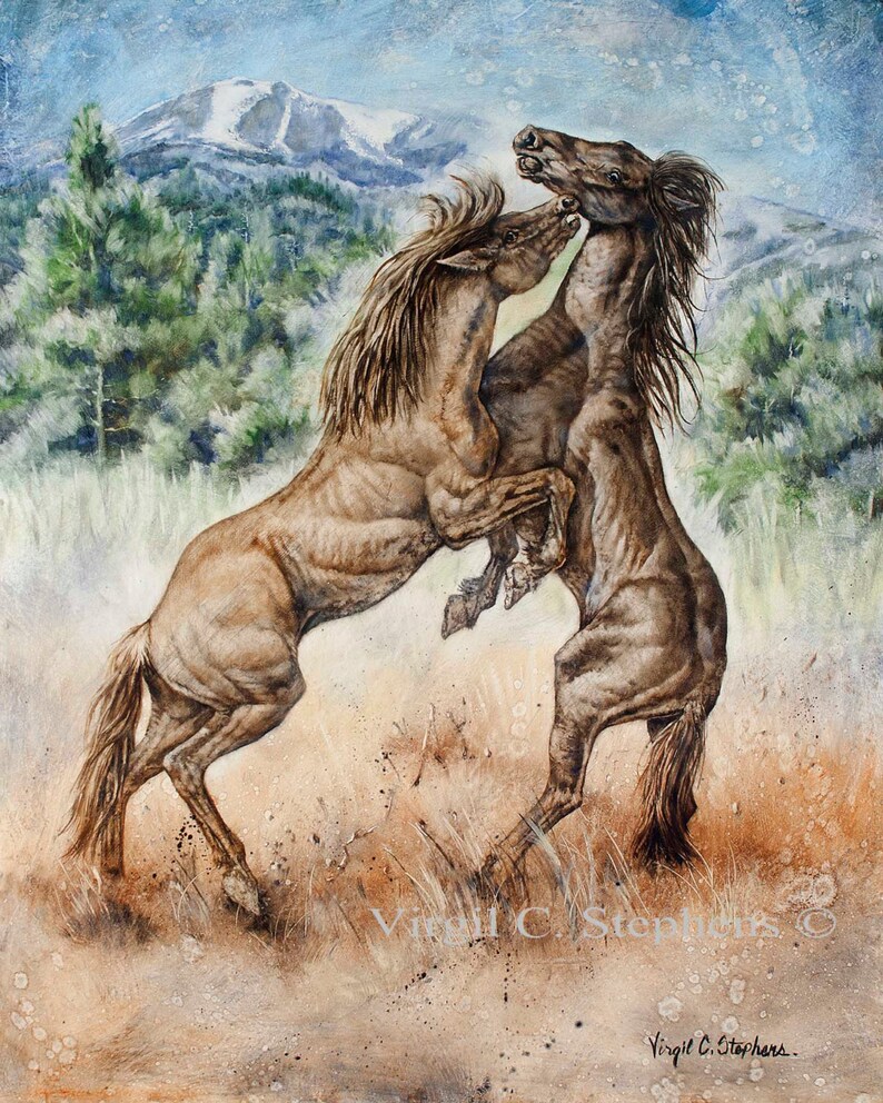 Horse art, Unbranded Outlaws,  two stallions fighting in front of Sierra Blanca Mountain range in Ruidoso New Mexico, wild horses