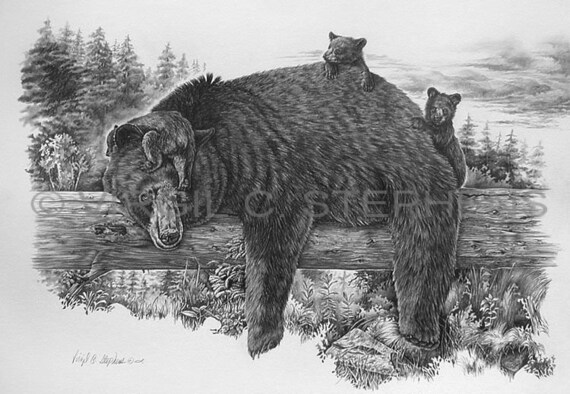 大人女性の クマのアート、お昼寝中、野生のクロクマとその子熊の鉛筆画 絵画