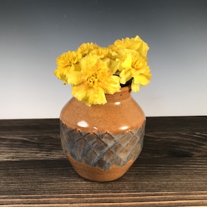 May include: A small, brown ceramic vase with a blue and white geometric pattern. The vase is filled with yellow flowers.