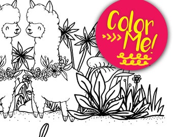 Instant Download Llama Coloring Page - Coloring Page Kids - Coloring Page Adults - Llama Drawing - Digital Llama Coloring Page