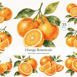 Op de afbeelding: Een verzameling aquarelillustraties met sinaasappels met groene bladeren en stengels. De set bevat hele sinaasappels, gehalveerde sinaasappels en schijfjes. De tekst "35 PNG FILES" en "Orange Botanicals PNG CLIPART INSTANT DOWNLOAD" is zichtbaar.
