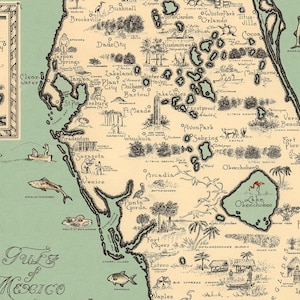Pu&ograve; includere: Una mappa illustrata della Florida in stile vintage con una massa terrestre color crema su uno sfondo verde chiaro del Golfo del Messico. La mappa include disegni a inchiostro nero della fauna locale, monumenti e nomi di citt&agrave;.