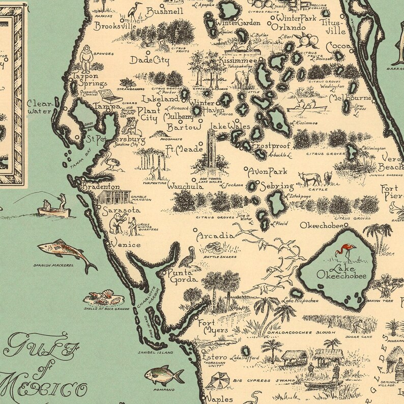 Pu&ograve; includere: Una mappa illustrata della Florida in stile vintage con una massa terrestre color crema su uno sfondo verde chiaro del Golfo del Messico. La mappa include disegni a inchiostro nero della fauna locale, monumenti e nomi di citt&agrave;.