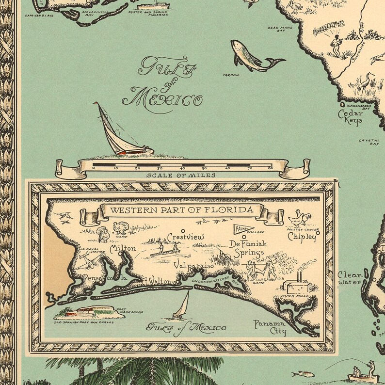 Pu&ograve; includere: Una mappa illustrata in stile vintage che raffigura il Golfo del Messico con un riquadro dettagliato intitolato Western Part of Florida. La mappa include una scala in miglia, illustrazioni nautiche ed etichette per citt&agrave; come Pensacola.