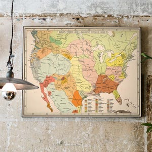 May include: A vintage map of the United States showing the locations of Native American tribes and linguistic stocks in 1650. The map is color-coded by tribe and includes a key to the different linguistic stocks.